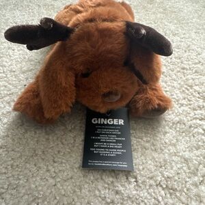 Braille Guide Dog Ginger Reindeer Two Blind Brothers NWT Plush Service Animal 9"